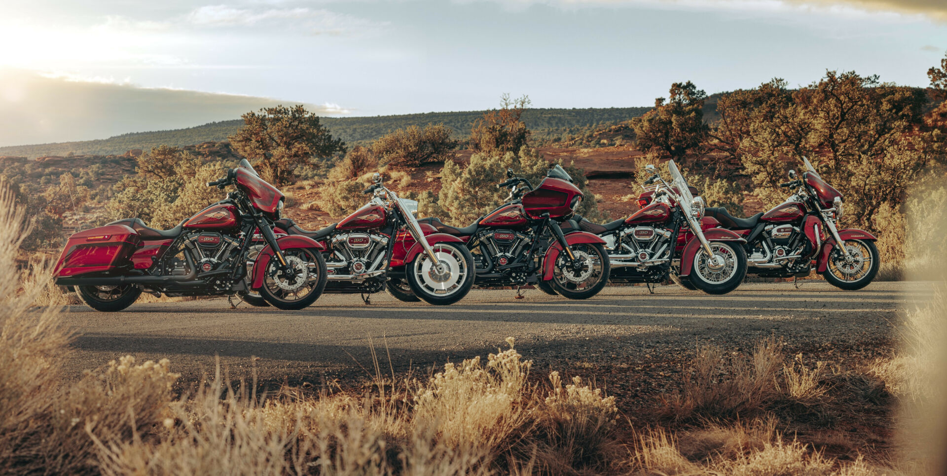 Harley-Davidson Reveals 120th Anniversary Models Roadracing World ...